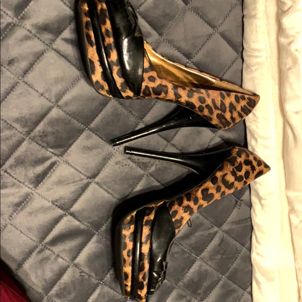Leopard